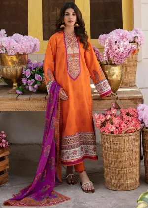 AFROZEH | RANGREZA SUMMER EDIT '23 | AURORA