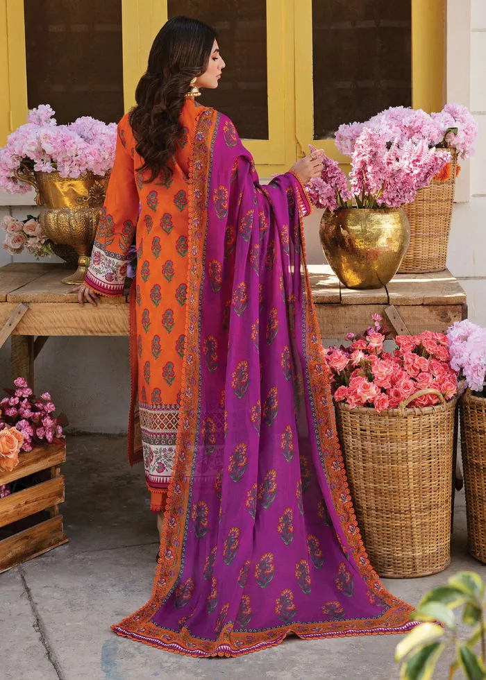 AFROZEH | RANGREZA SUMMER EDIT '23 | AURORA