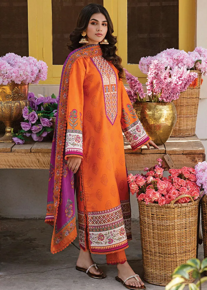 AFROZEH | RANGREZA SUMMER EDIT '23 | AURORA