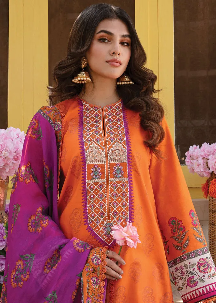 AFROZEH | RANGREZA SUMMER EDIT '23 | AURORA