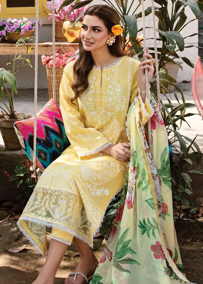 AFROZEH | RANGREZA SUMMER EDIT '23 | MERAKI