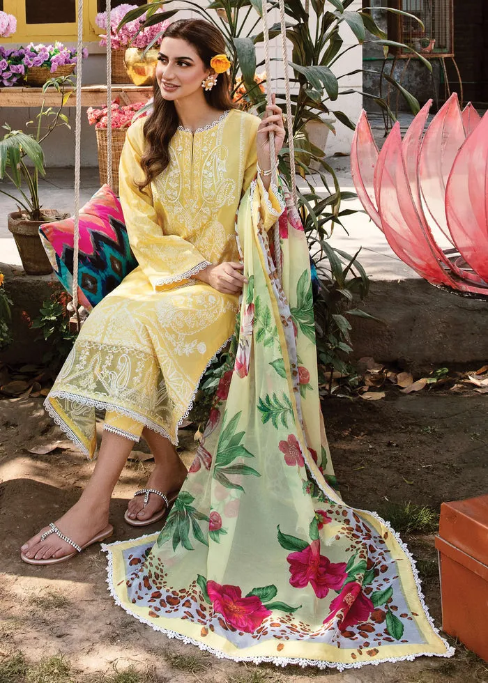 AFROZEH | RANGREZA SUMMER EDIT '23 | MERAKI