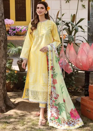 AFROZEH | RANGREZA SUMMER EDIT '23 | MERAKI