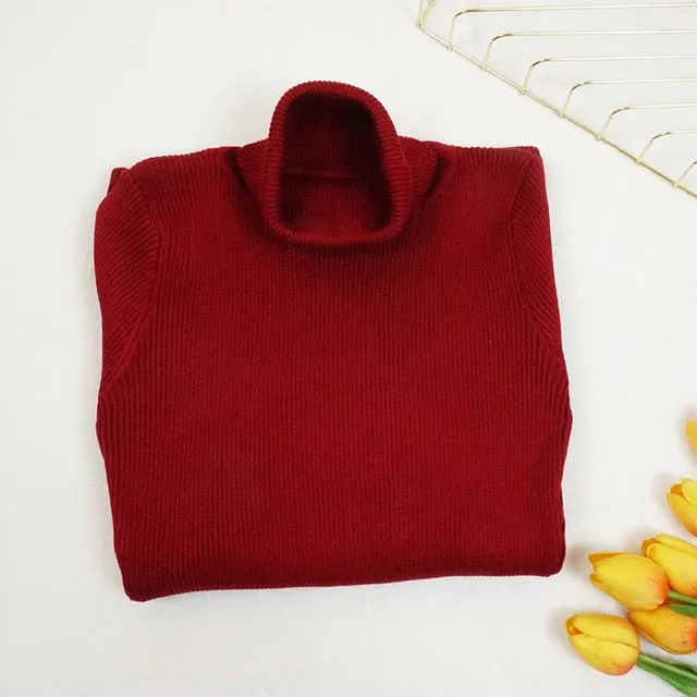 Autumn Winter Women Knitted Dress Turtleneck Sweater Dresses Lady Slim Bodycon Long Sleeve Bottoming Dress Vestidos PP021
