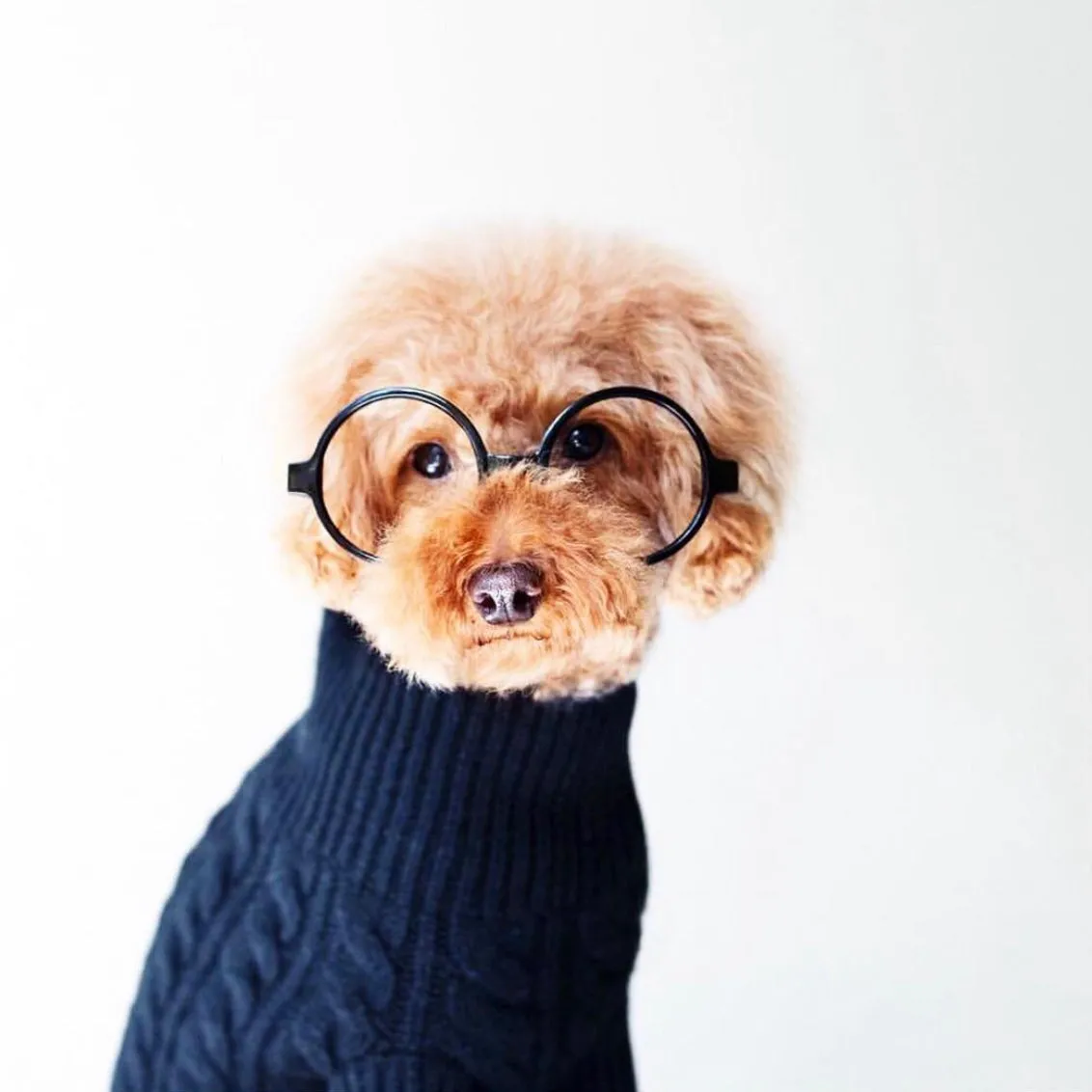 Cashmere Cable Knit Sweater