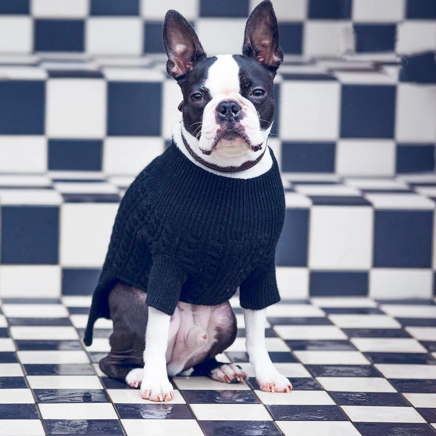 Cashmere Cable Knit Sweater