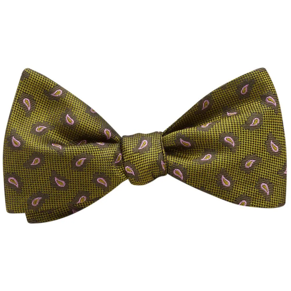 Cypress - bow ties
