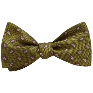 Cypress - bow ties