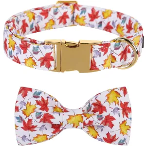 Fall Bow Tie Dog Collar with Fall Maple Leaf Print