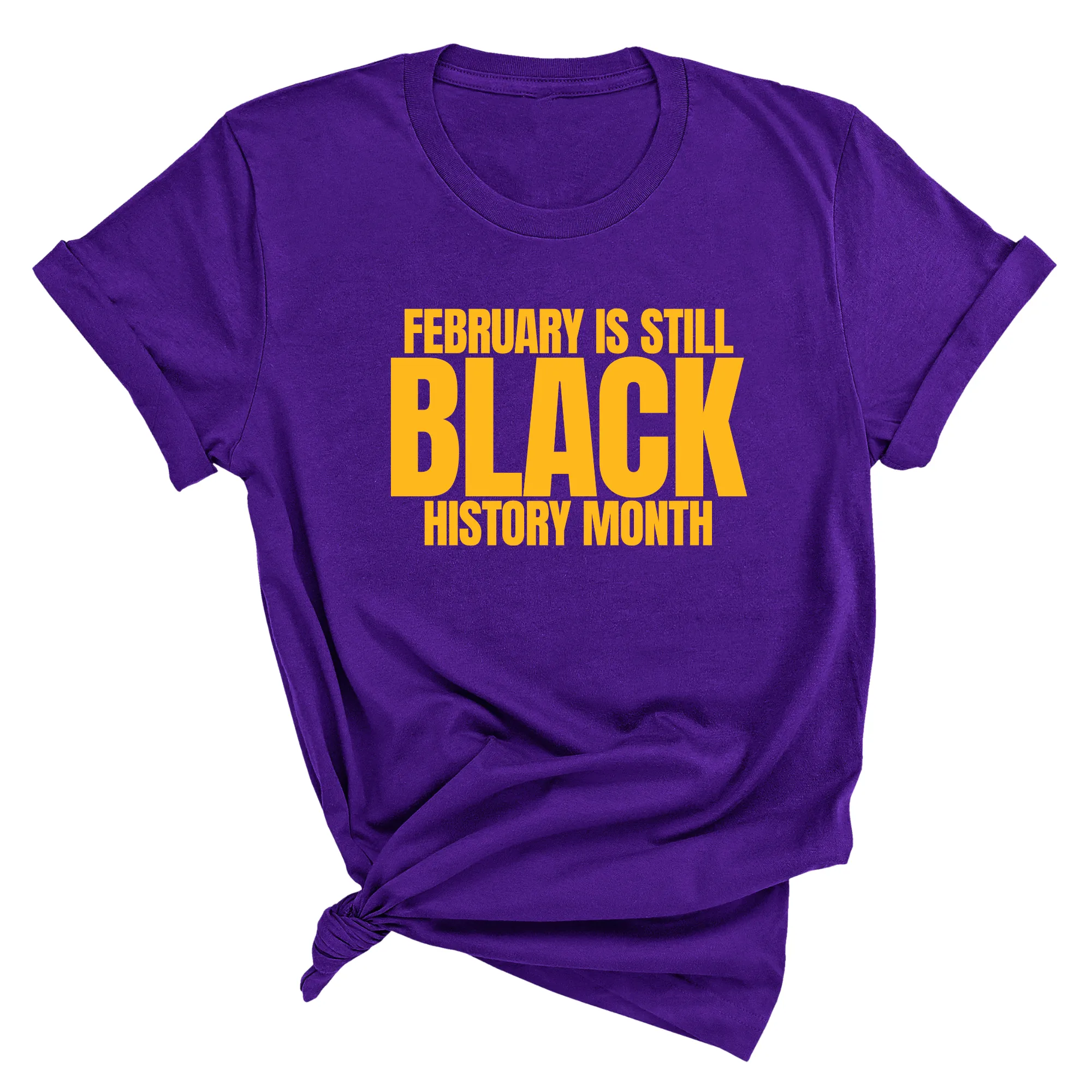 February is Still Black History Month Unisex Tee