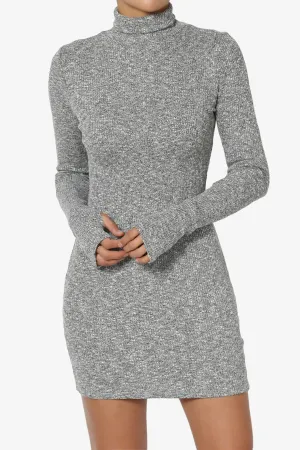 Garson Mock Neck Hacci Knit Mini Dress