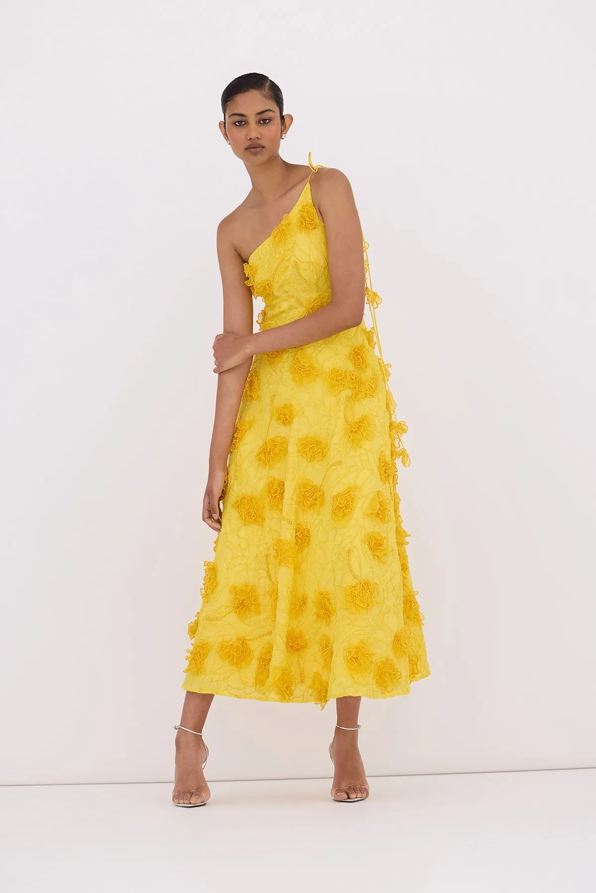 IANTHE DRESS