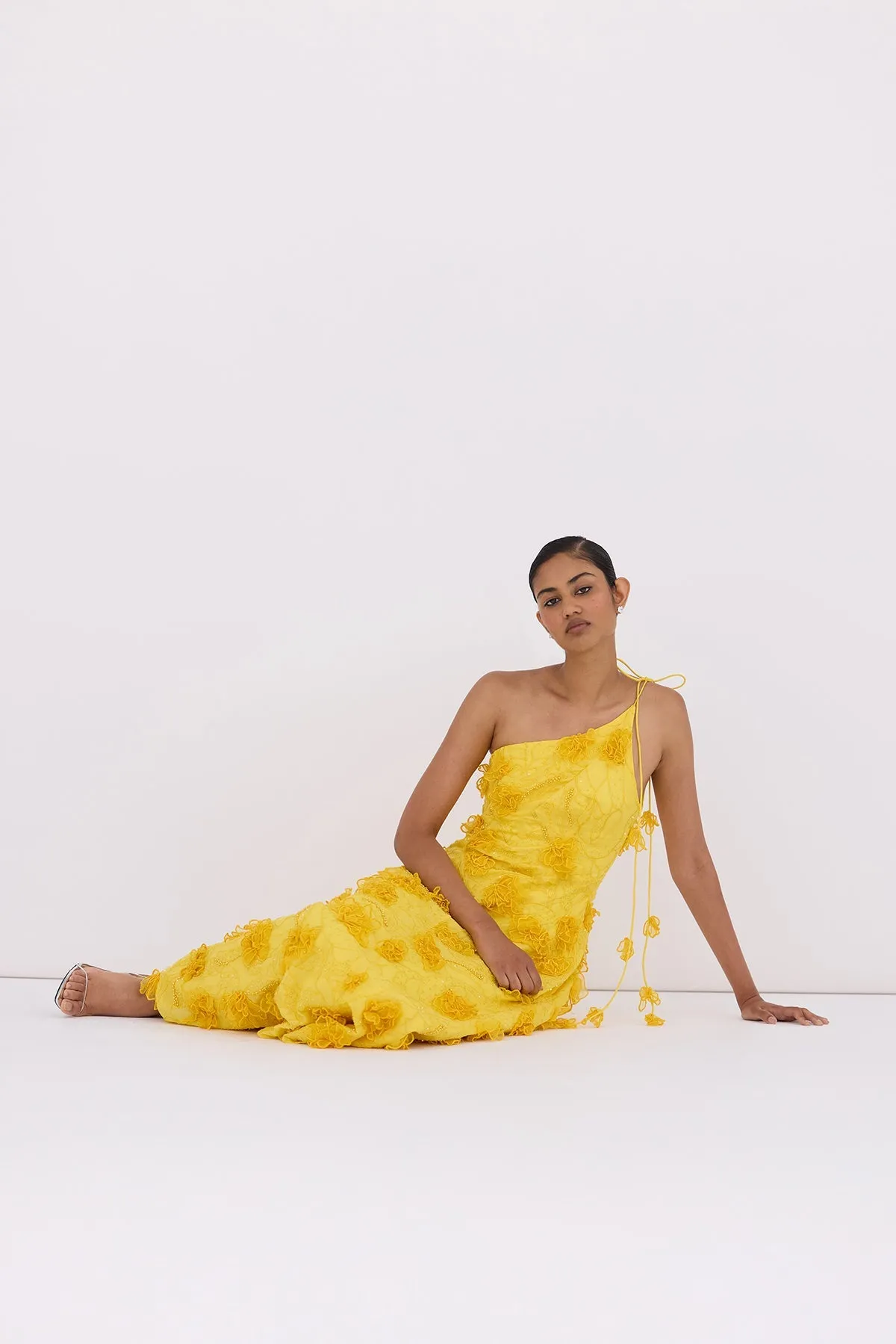 IANTHE DRESS