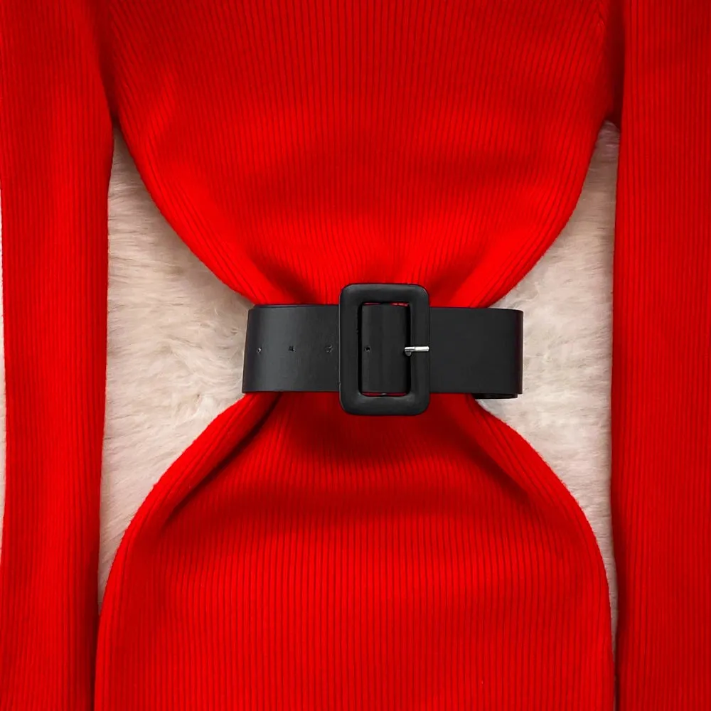 Knitted Turtleneck Sweater Bodycon Dress with Belt