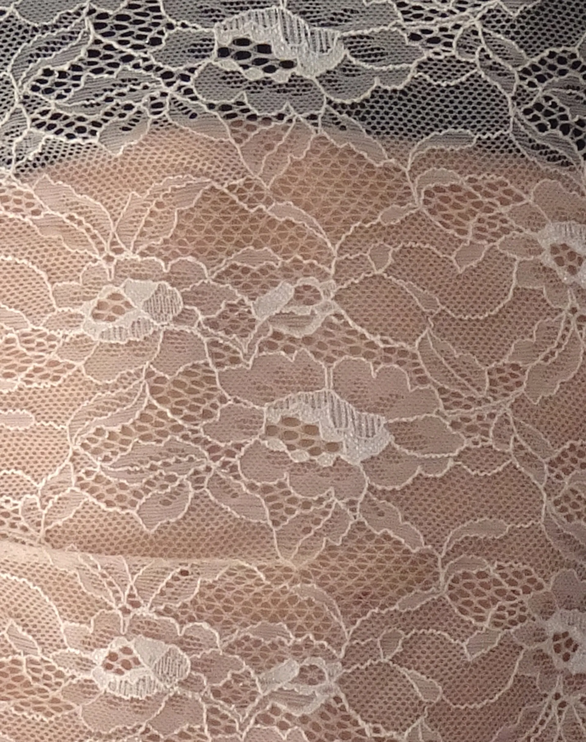 Lainey Long Sleeve Lace Top in Blush