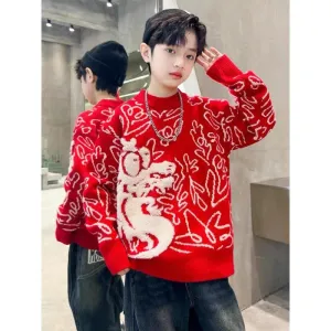 Middle-aged and older children New Year's winter 2025 boys red sweater Year of the Dragon autumn and winter New Year's greetings new thickened natal year children