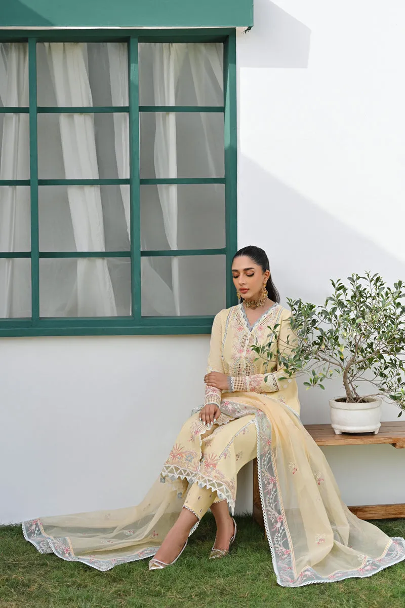 Qalamkar | CASUAL PRET II - 🌿 | ZP-02 ELARA