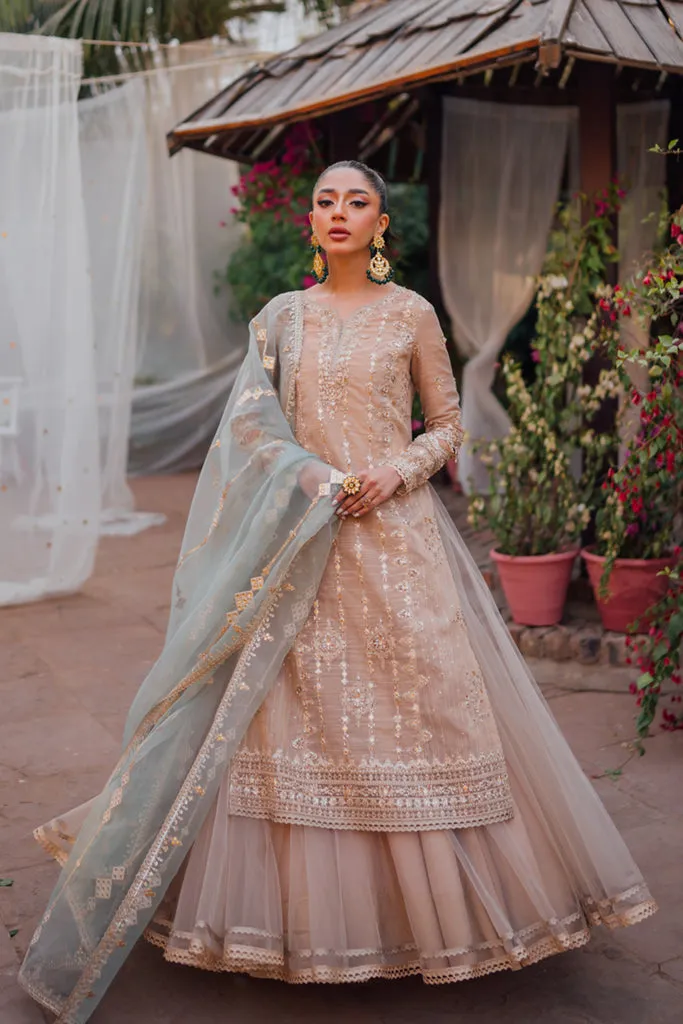 QALAMKAR | LUXURY FORMALS'23 | MT-07 ABIR