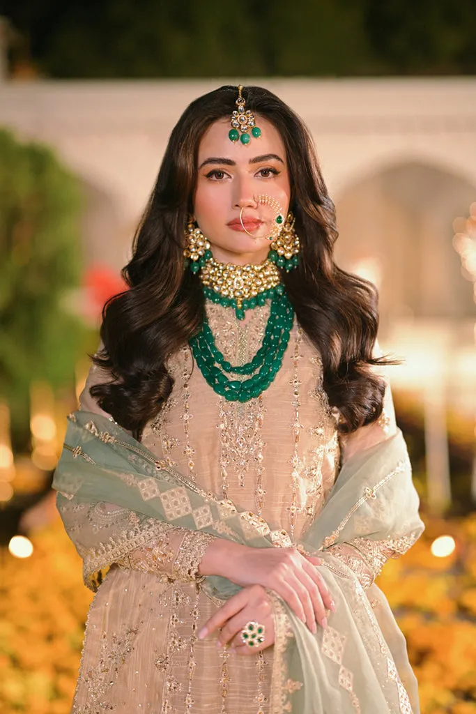 QALAMKAR | LUXURY FORMALS'23 | MT-07 ABIR