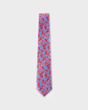 Sky Blue And Pink Paisley Tie