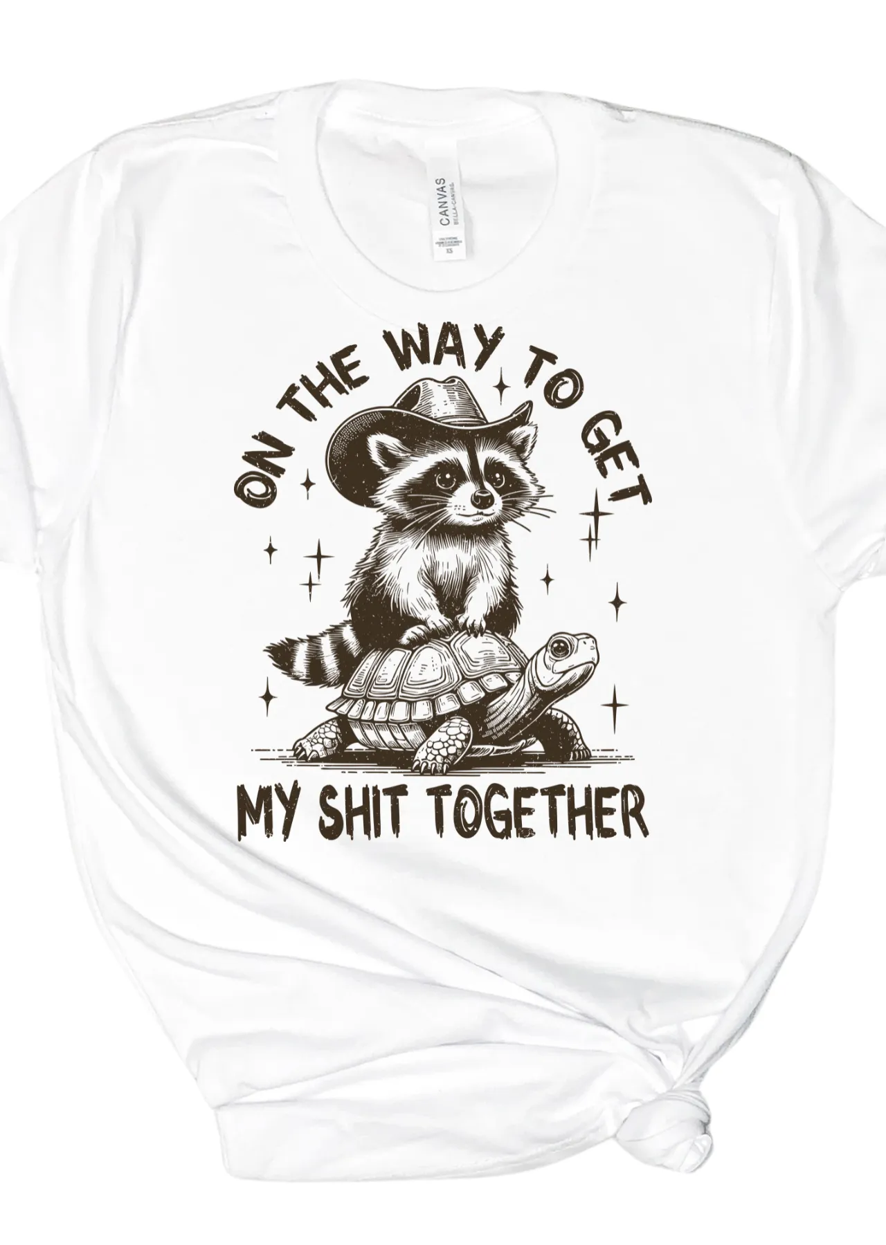 Slow and Steady Chaos Bella Canvas T-Shirt