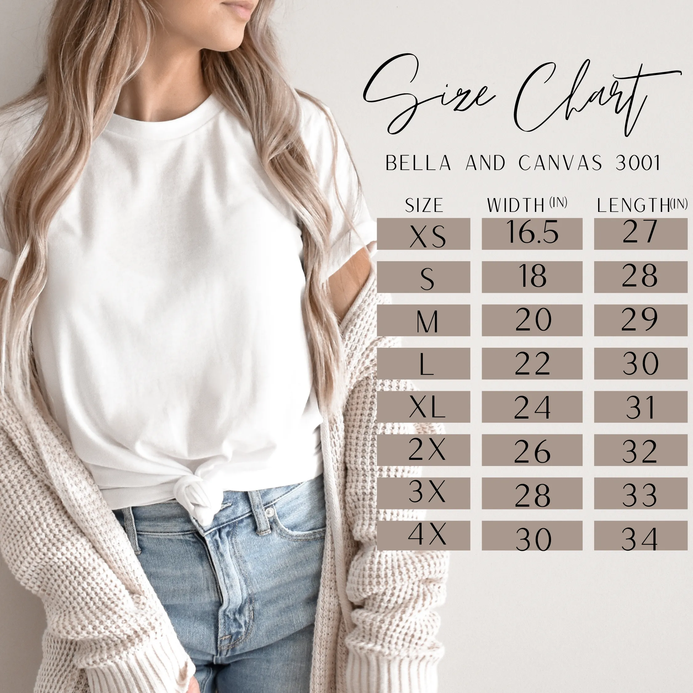 Slow and Steady Chaos Bella Canvas T-Shirt