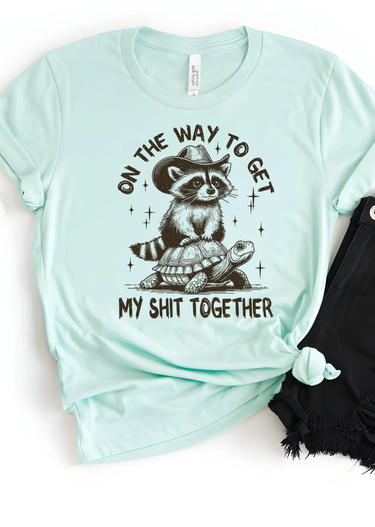 Slow and Steady Chaos Bella Canvas T-Shirt