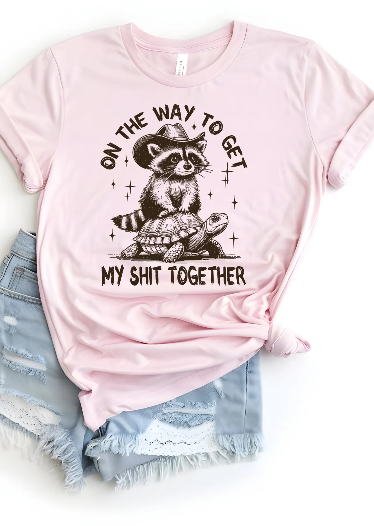 Slow and Steady Chaos Bella Canvas T-Shirt