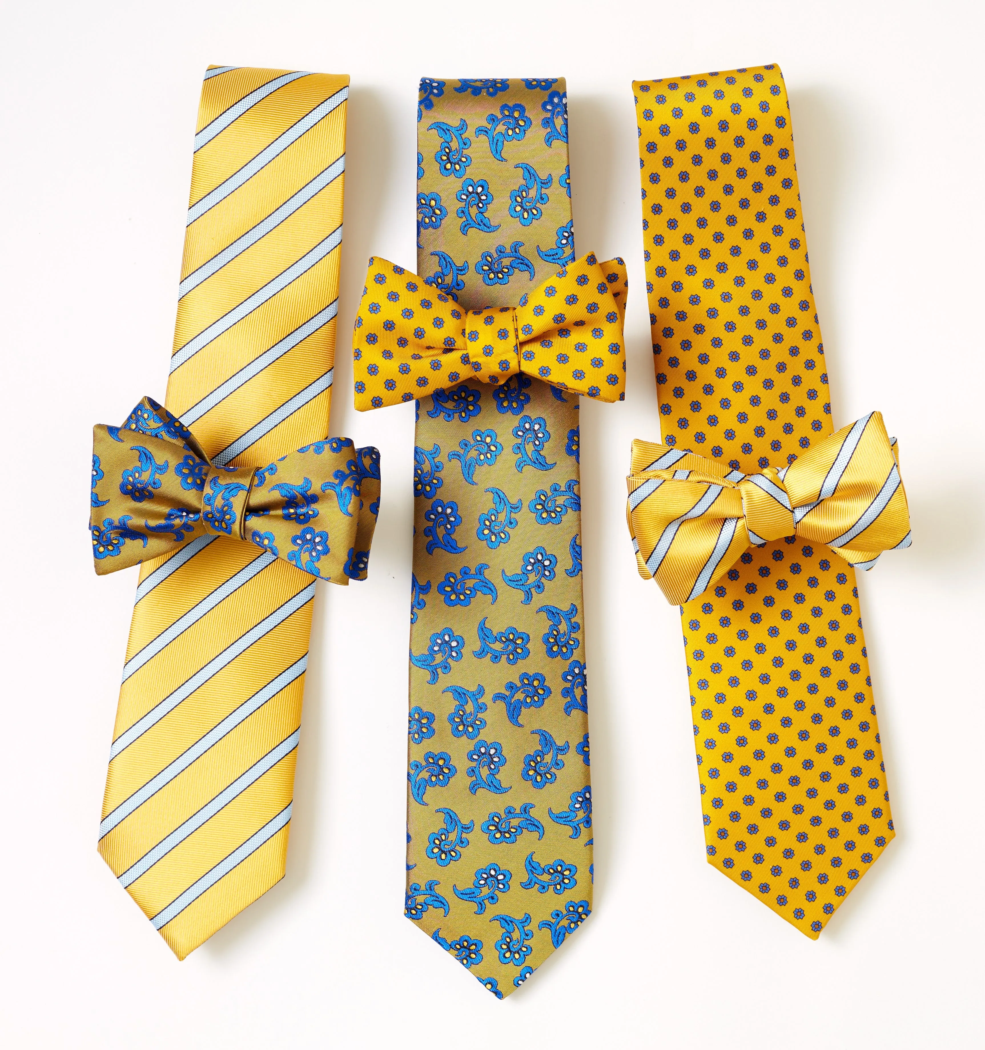 Solidago - bow ties