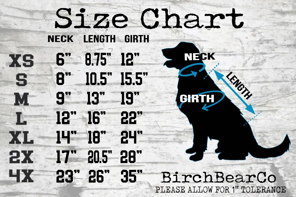 Talk To The Paw Dog Shirt | Dog Shirts For Dogs