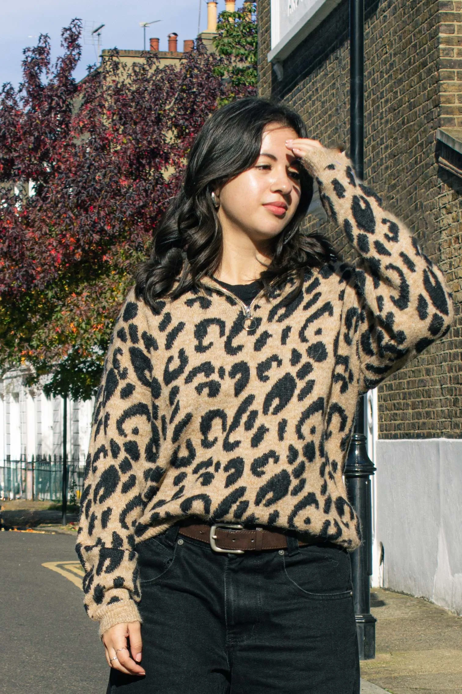 Three Quarter Zip Leopard Print Jumper