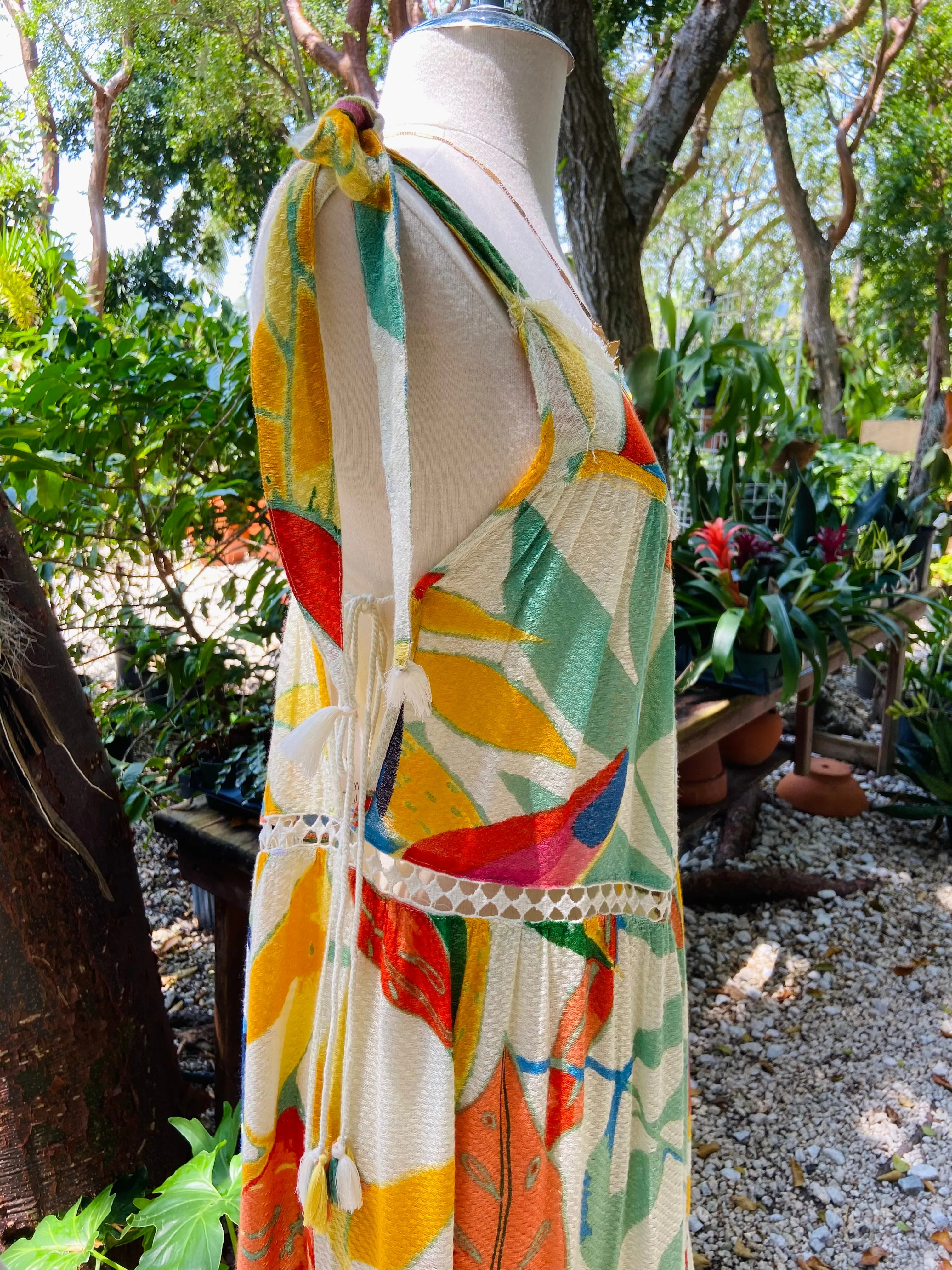 Toucan Maxi Dress