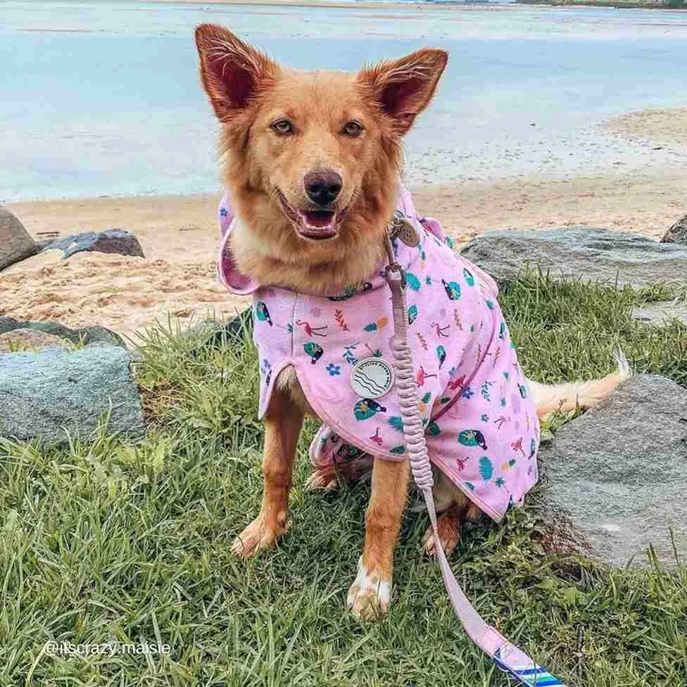Tropical Dog Robe