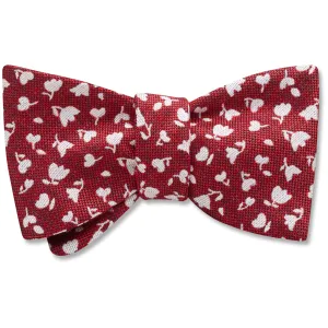 Tulipa - bow ties